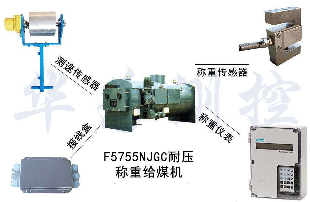 F5755NJGC耐壓稱重給煤機